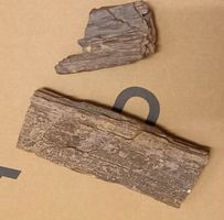 Antik versteinertes Holz u.a. als Dekoration