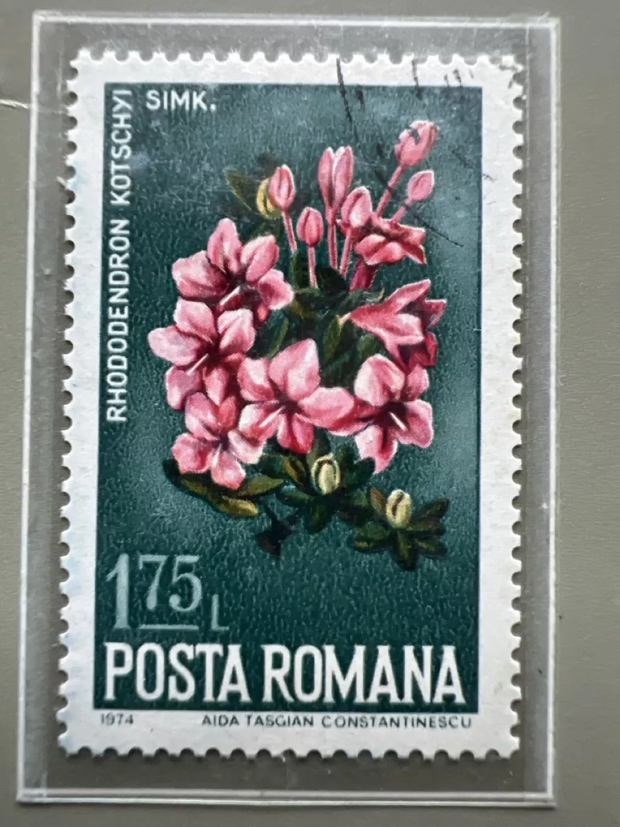 Tutti i francobolli: Briefmarken Rumänien  – Usato da Glattbrugg venduto da Artos67 4