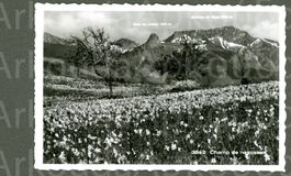 AK sw Caux VD Glion, Dent de Jaman,Cab. de Frateco ≈ 1957