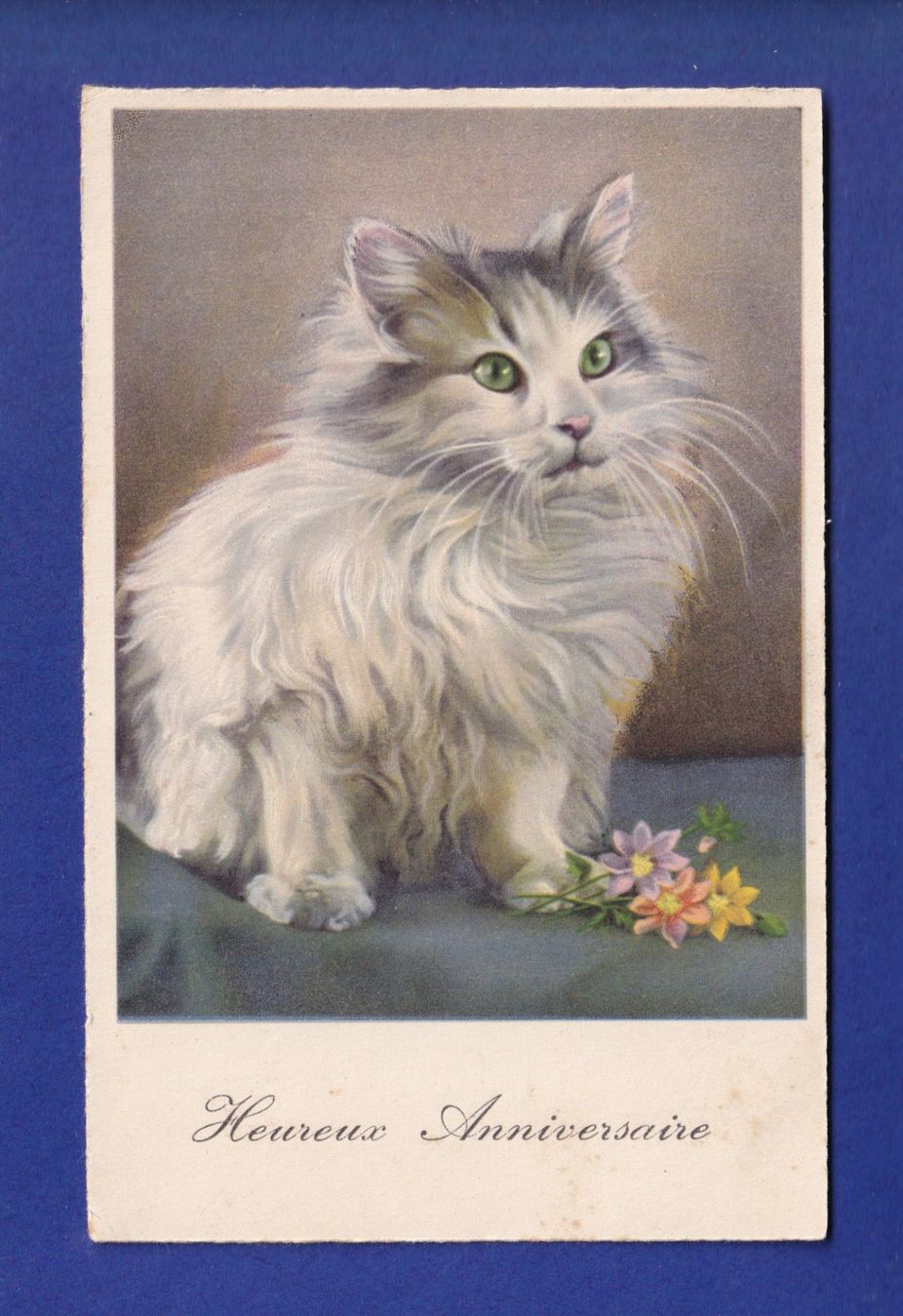 Cartoline postali: CHAT à poil long – Usato da Pully venduto da nicecards-shop