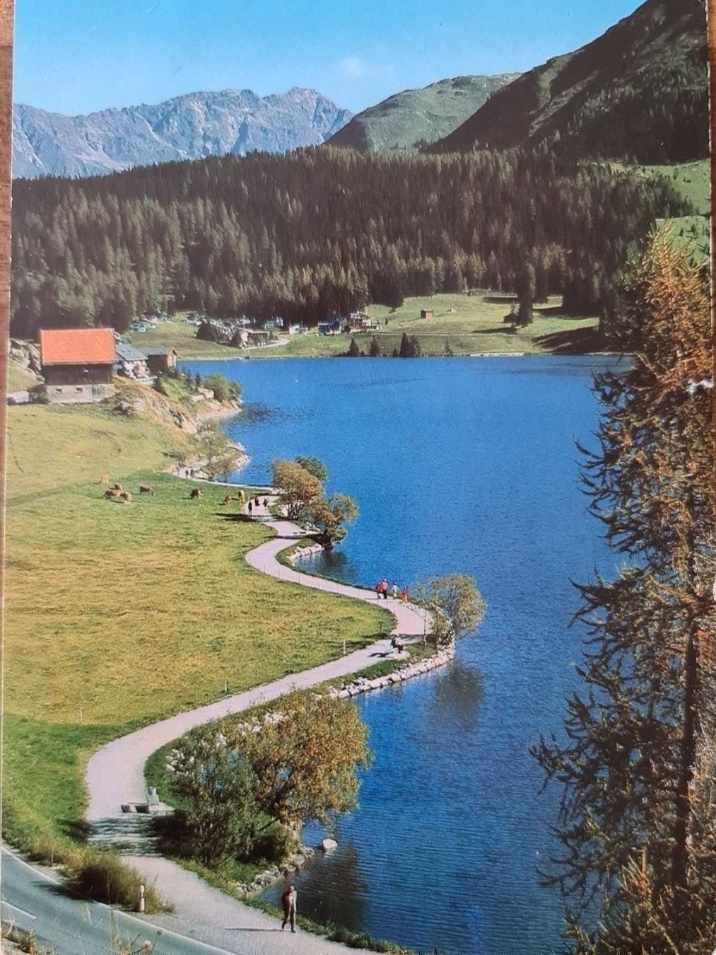 Cartoline postali: Ansichtskarte Davos Graubünden 1976 – Usato da Dintikon venduto da Vexi
