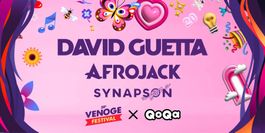 1x Billet Venoge Festival - David Guetta - 11.08.2026