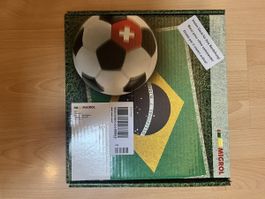 Fussball Schweizer Flagge, Fahne und Schminke.