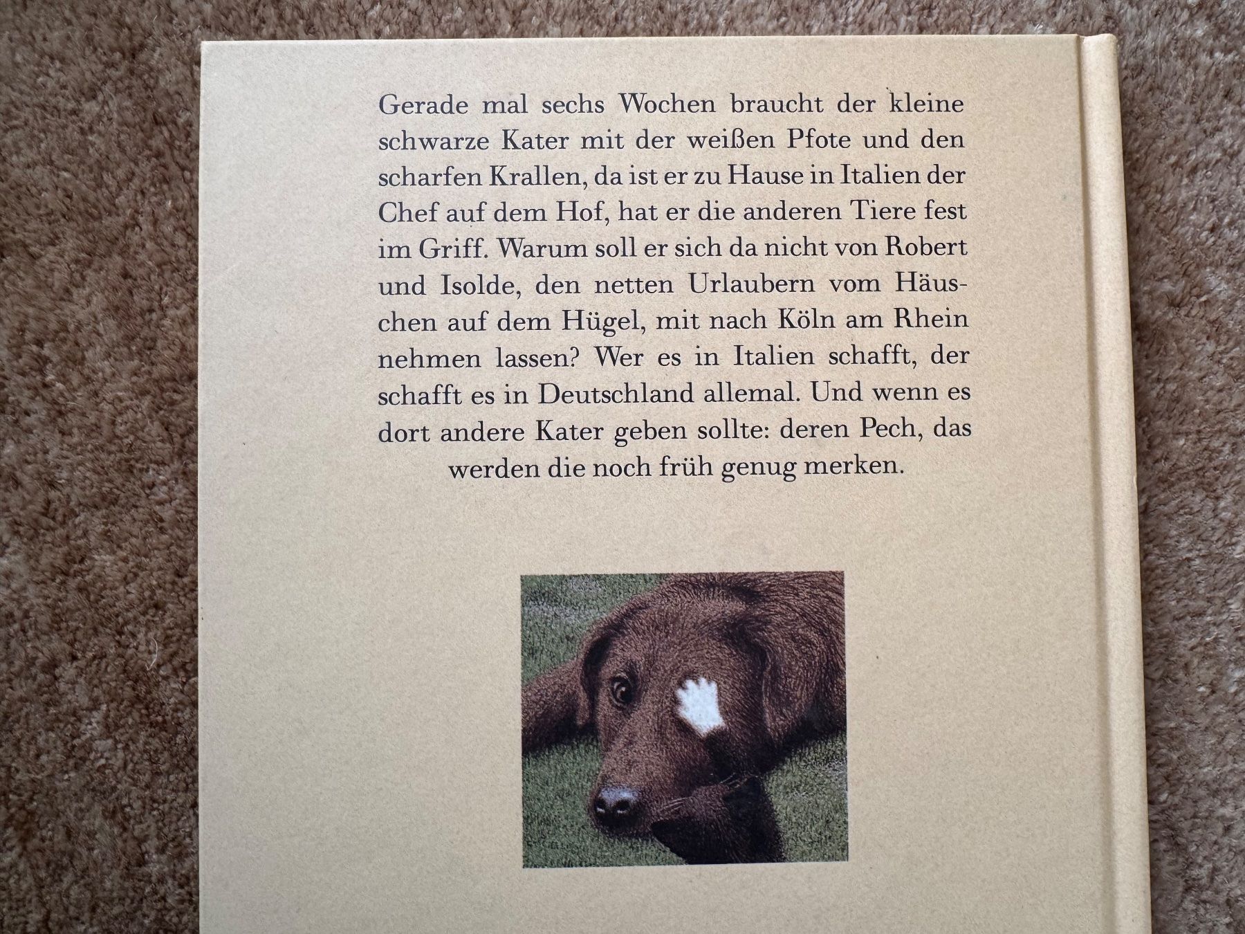 Bücher: Nero Corleone – Neu (gemäss Beschreibung) aus Aarau von Kilauea 2