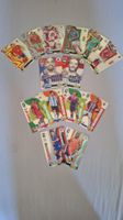 Panini Fussball WM Karten