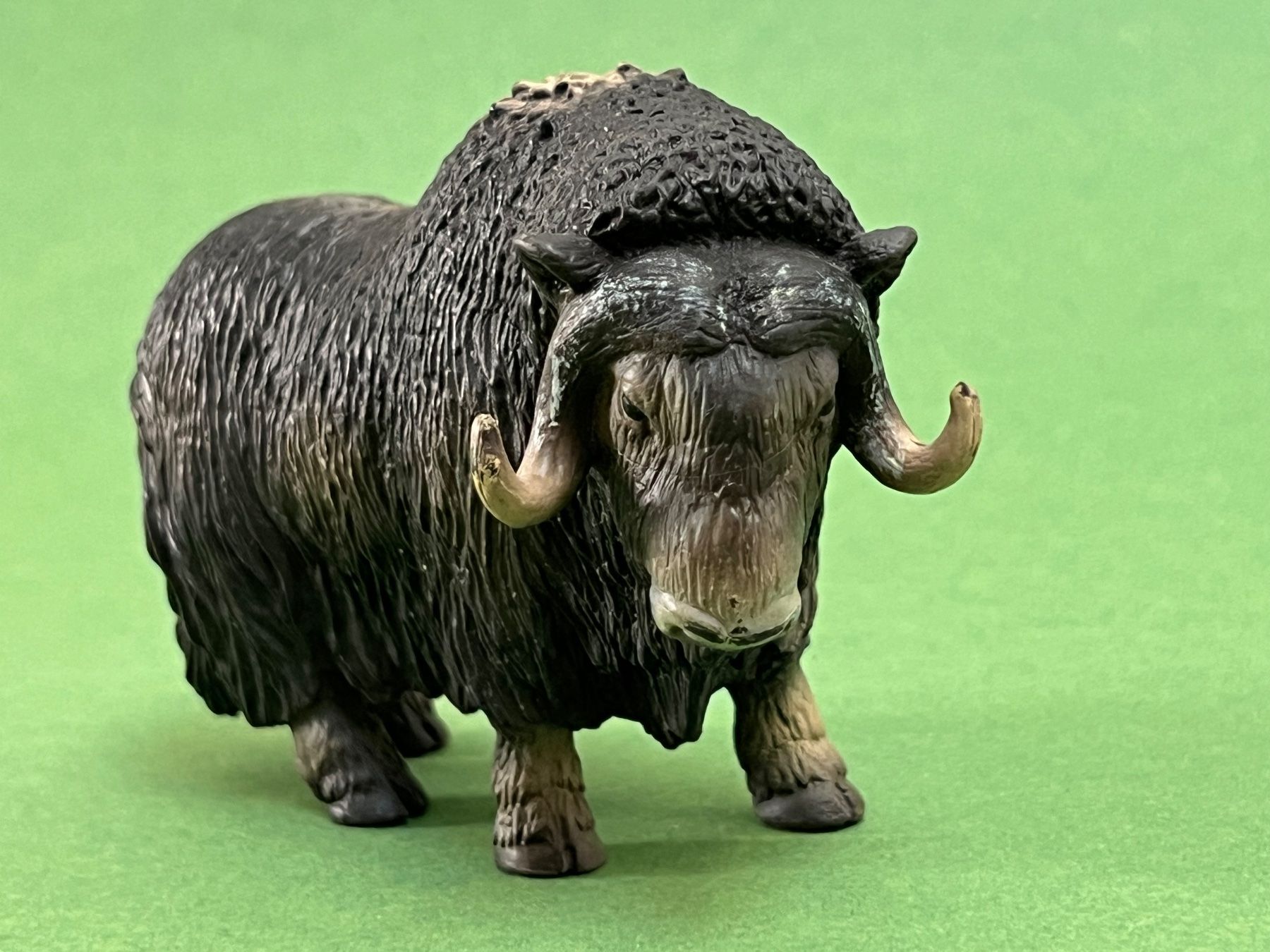 Schleich Statuette: Schleich - Moschusochse 14332 Ochse – Usato da Ennetbaden venduto da mapa05 2