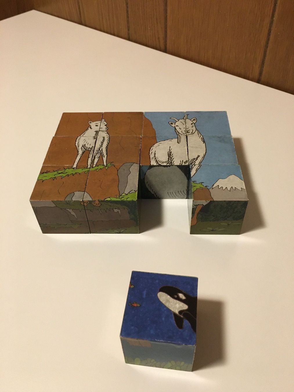 Puzzle: Alaska Block Puzzle in englisch – Usato da Andwil SG venduto da Rainboli 6