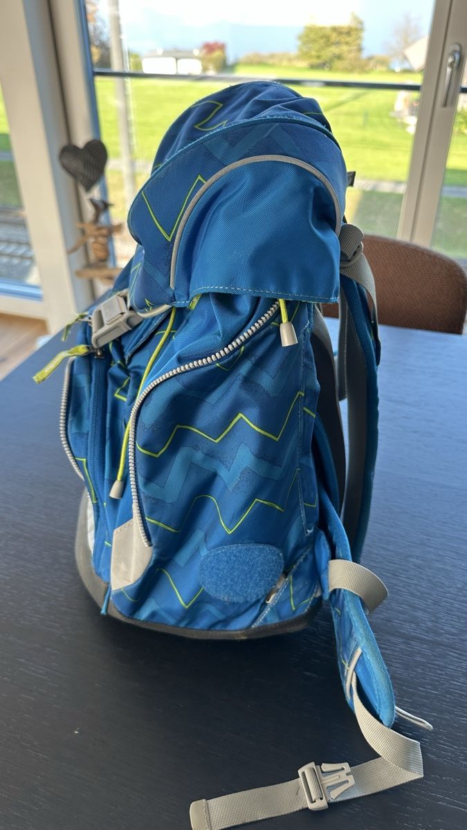 Ergobag Borse & Zaini: Ergobag Schulrucksack - gut erhalten! – Usato da Altendorf venduto da pebi77 3