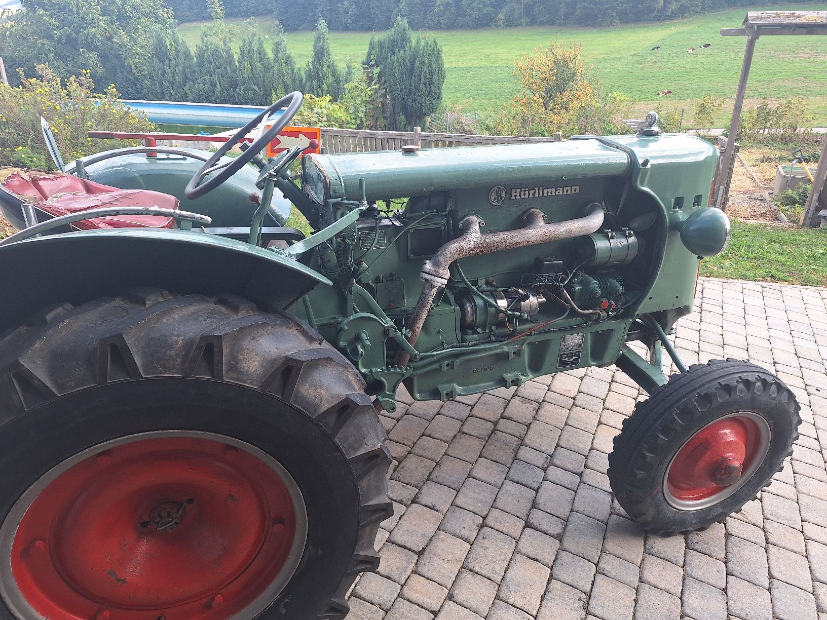 Trattori: Hürlimann D 200 Oldtimer Traktor – Usato da Eptingen venduto da Bobbl1 4