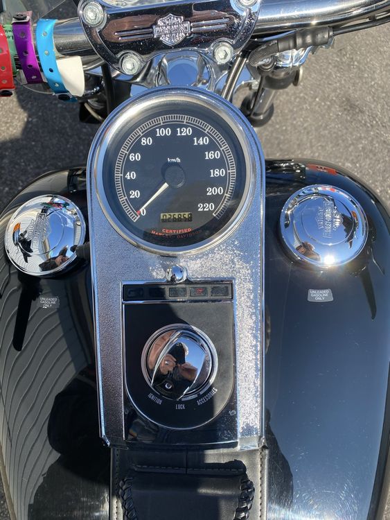 Chopper: Harley Davidson FXST Softail Std. – Usato da Rupperswil venduto da retopaul 3