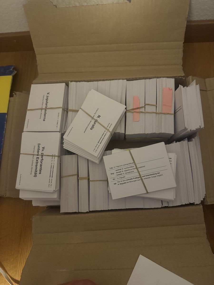 Bons: Anatomiekarten 2. Studienjahr Set mit 1385 Karten gebraucht – D'occasion à Bern par Pullet