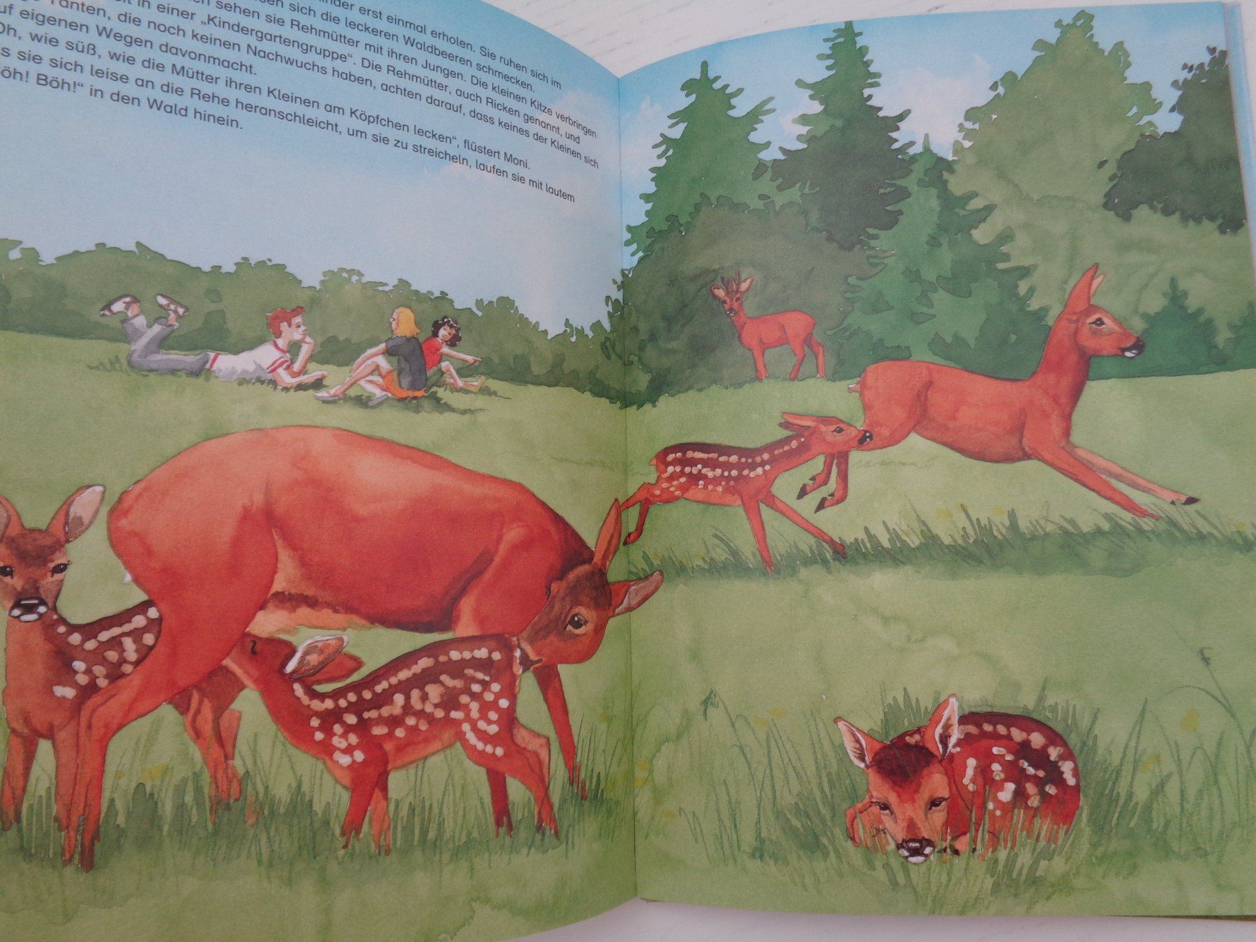 Livres: Die Tiere unseres Waldes – D'occasion à Chur par Oregano1 7