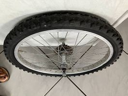 Kindervelo Hinterrad 20 x 1.75  36 Speichen super Zustand