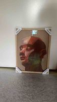 Gerahmtes Bild Portrait Kopf Abstrakt Braun Grösse 30x40
