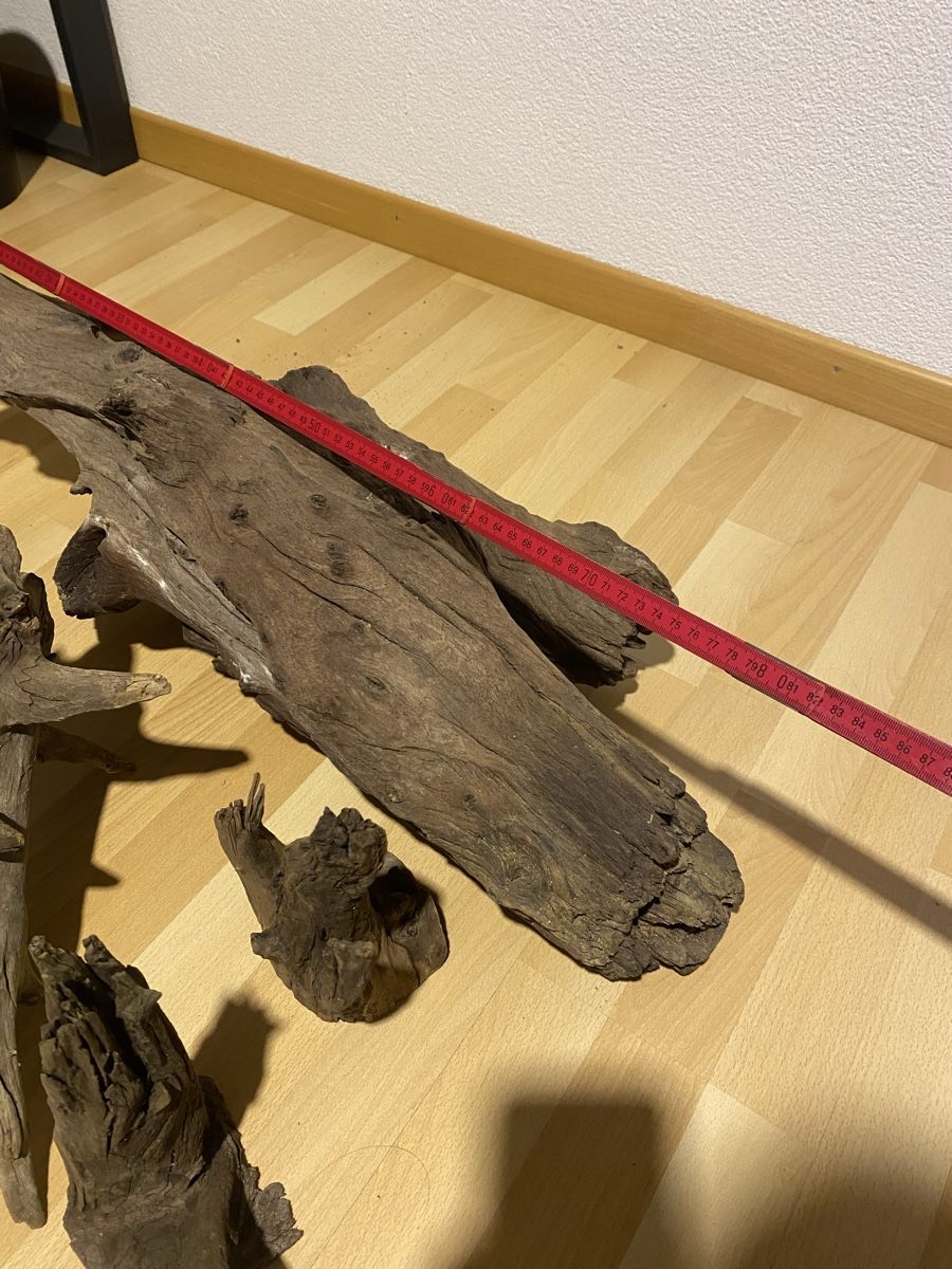 Holzartikel: Mangrovenwurzeln – Gebraucht aus Rüti ZH von tom1896 2
