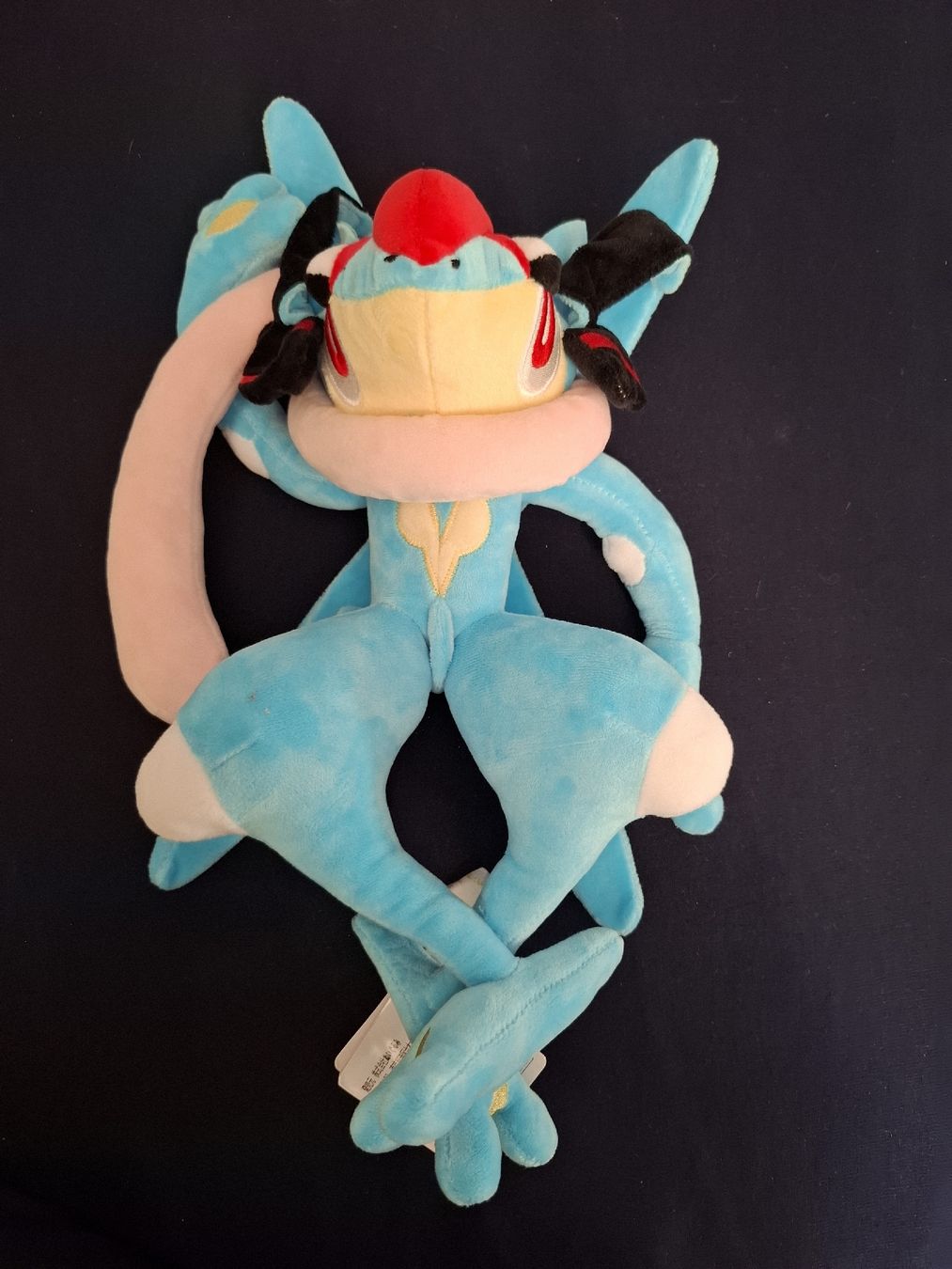 Pokémon Giocattoli: Pokémon|| Plüsch|| Ash-Quajutsu – Nuovo (secondo la descrizione) da Burgdorf venduto da san_zt75