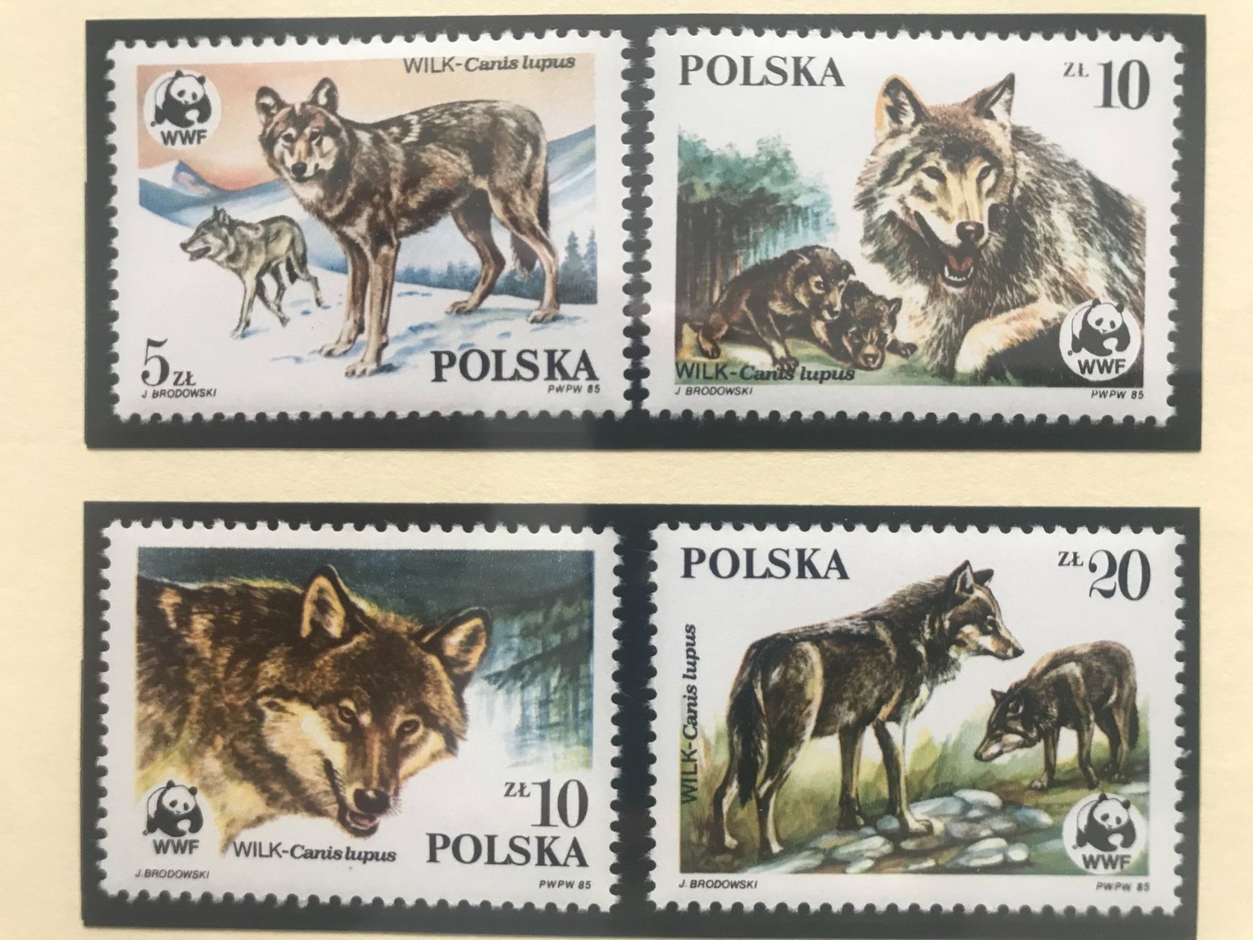 Tutti i francobolli: Polen 1985 WWF Satz Wolf postfrisch – Nuovo (secondo la descrizione) da Liestal venduto da schnueps