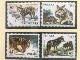 Polen 1985 WWF Satz Wolf postfrisch
