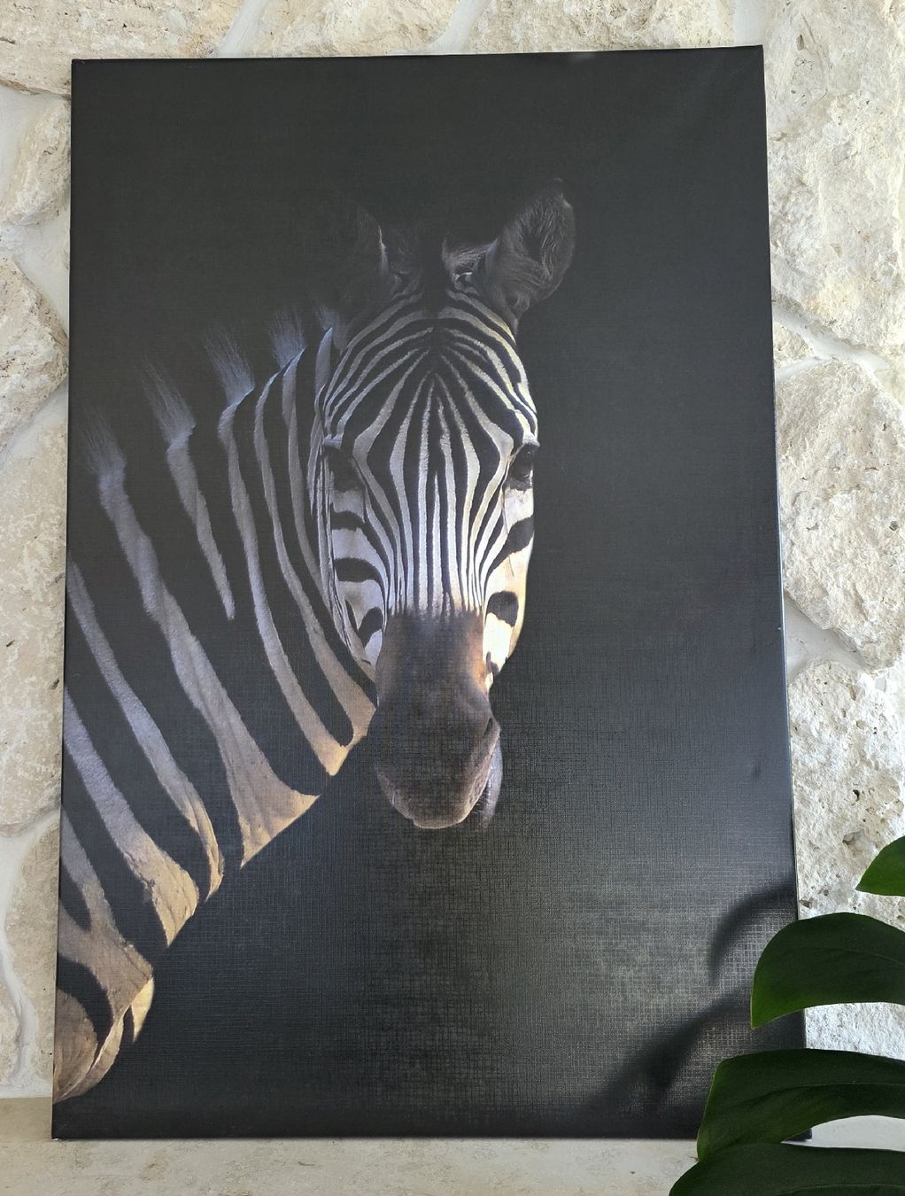 Poster & Bilder: Zebra Leinwandbild Schwarz Weiss Dunkel  Neu  – Neu (gemäss Beschreibung) aus Rheinsulz von Gilea