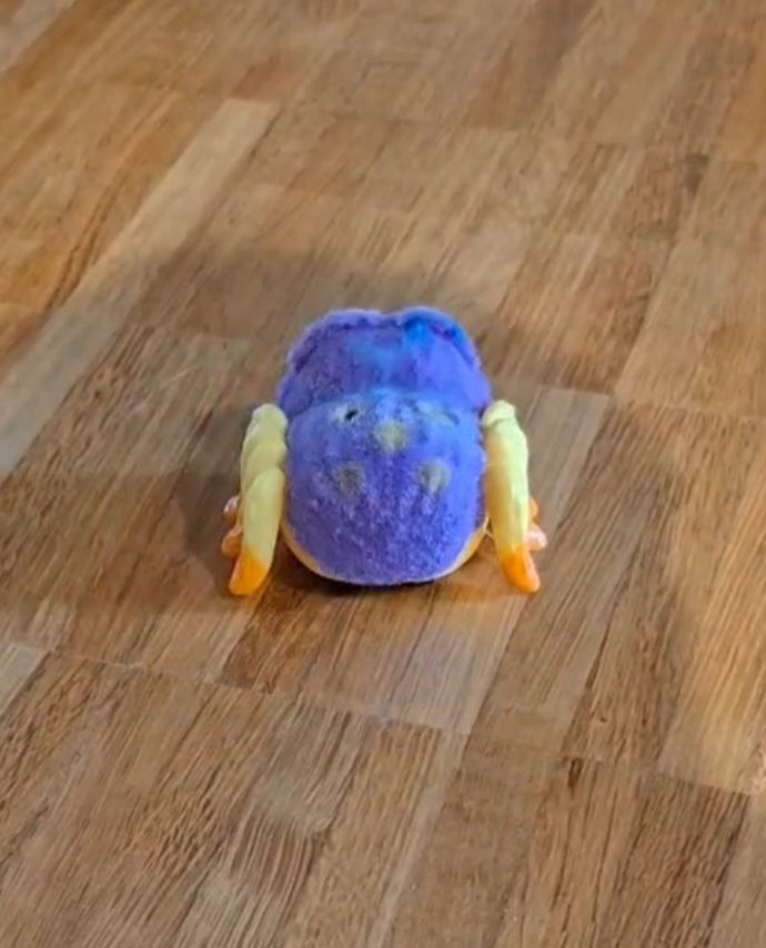 Hatchimals Spielzeuge: Hatchimal plus bewegende Spinne – Gebraucht aus Oberwil BL von Nisli99 7