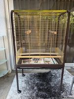 Vogelkäfig in einem guten Zustand