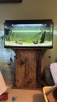 Aquarium + Unterbau und Zubehör
