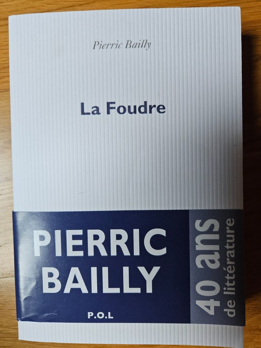 Libri: La Foudre, Pierre Bailly, P.O.L. – Usato da Vevey venduto da chr_q9cd