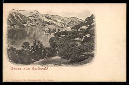 Iseltwald, Ort und Uferpartie mit Bergen