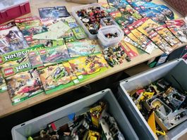 Lego Ninjago, Dino & mehr Sammlung mit Figuren ab 1.-