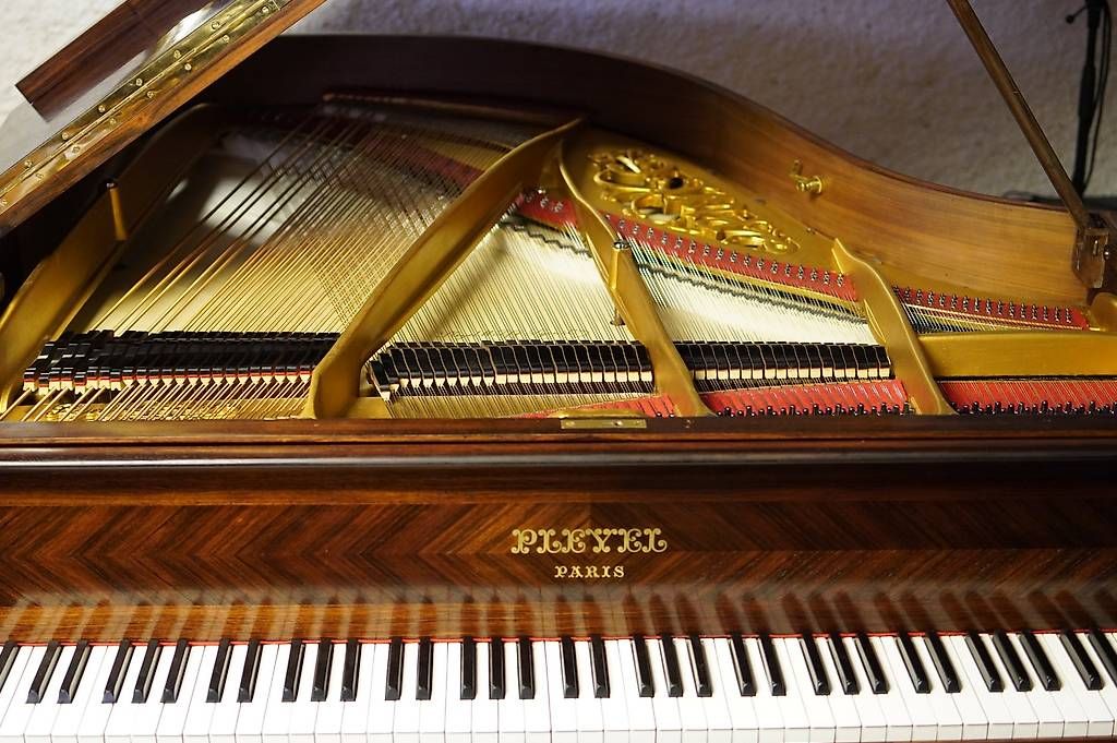 Strumenti musicali: Flügel Pleyel 160 – Usato da Küttigen venduto da PianoSarbach 3