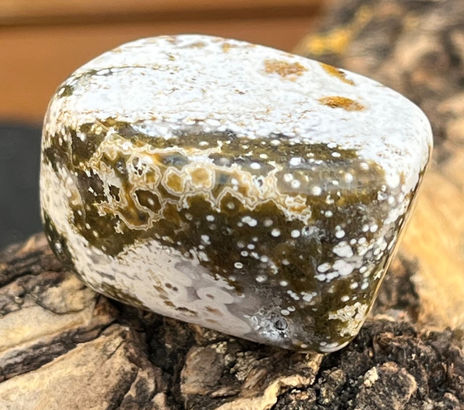 Minerali & Pietre curative: Ozean Jaspis – Nuovo (secondo la descrizione) da Diegten venduto da hamofi57