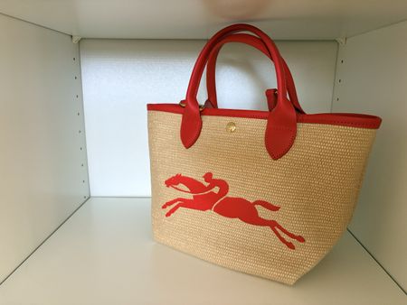 Longchamp Bag