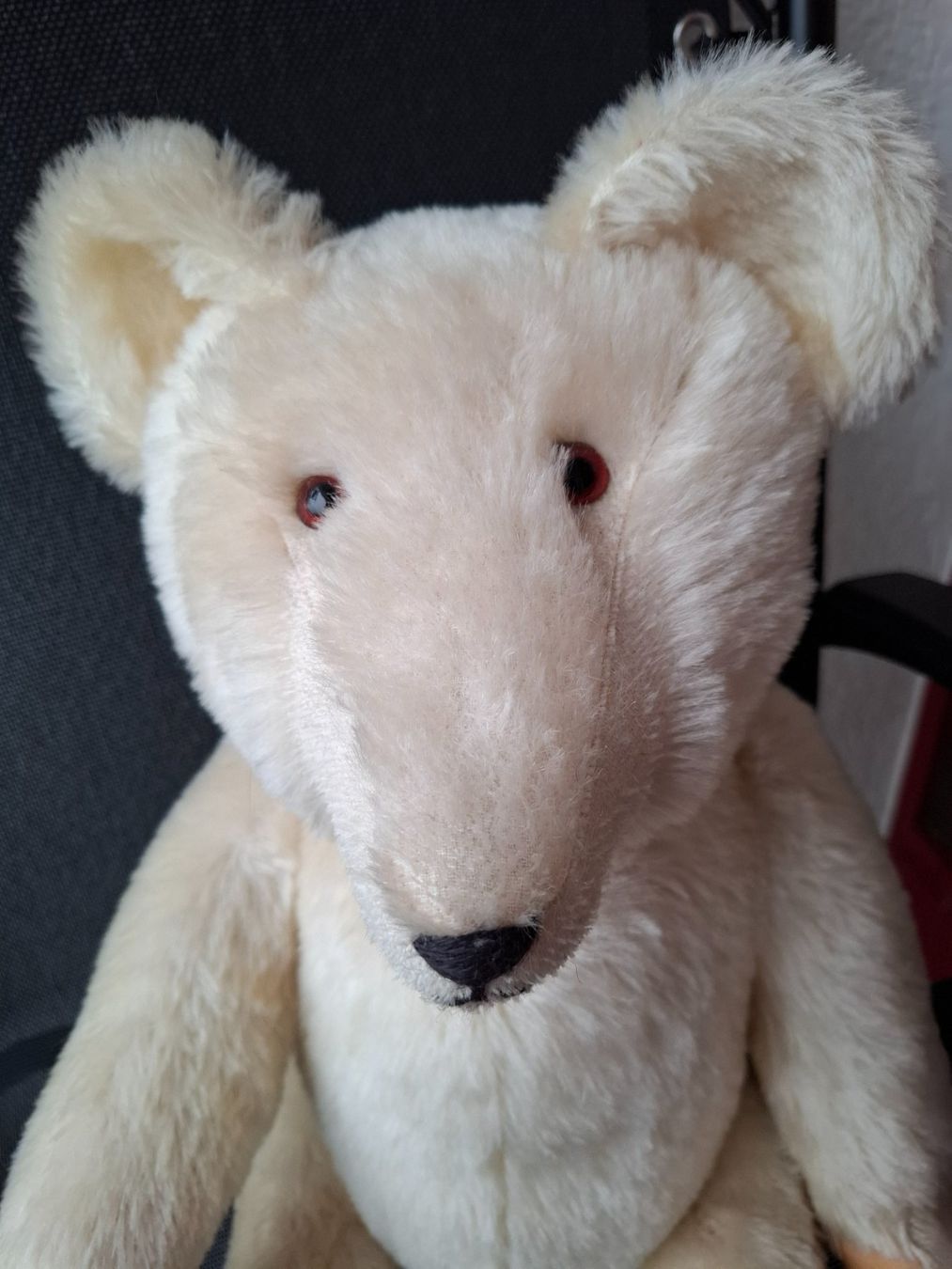 Giocattoli: TEDDY  "CAPITAIN CHRIS" THE DISCOVER 1492-1992 – Nuovo (secondo la descrizione) da Gretzenbach venduto da schibaya 3