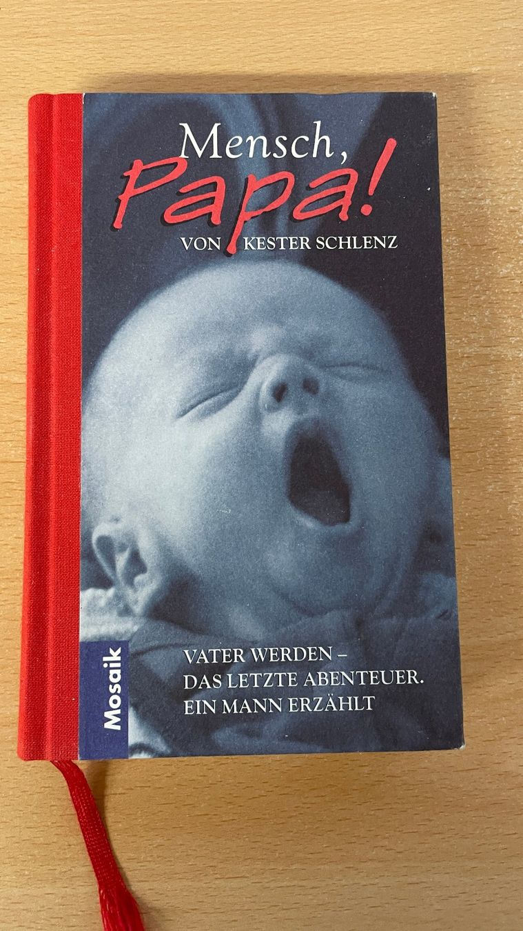 Libri: Mensch Papa! – Usato da Glattfelden venduto da cybermaxx