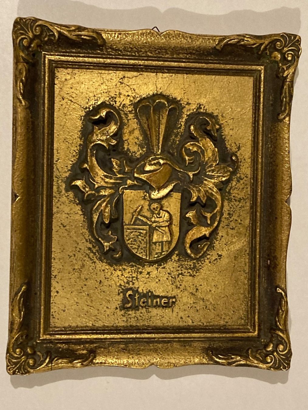Dipinti: Steiner Familien Wappen Bild – Usato da Hirzel venduto da pjn_d7xp