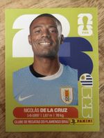 Panini URU 15