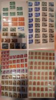 Sehr schöne Dublettensammlung Ungarn und div. Snderblocks