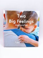 Lovevery Observer Play Kit Emotion Book Two Big Feelings