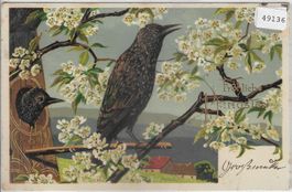Fröhliche Pfingsten - Nachtigall - Präge-Litho