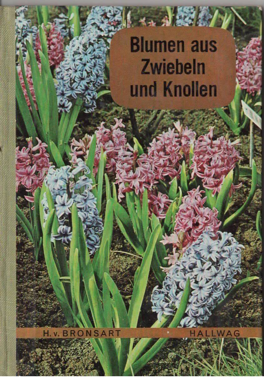 Libri: 1 Sachbüchlein Blumenzwiebeln – Usato da Basel venduto da Happybaer