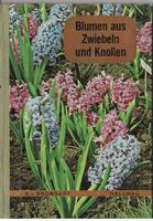 1 Sachbüchlein Blumenzwiebeln