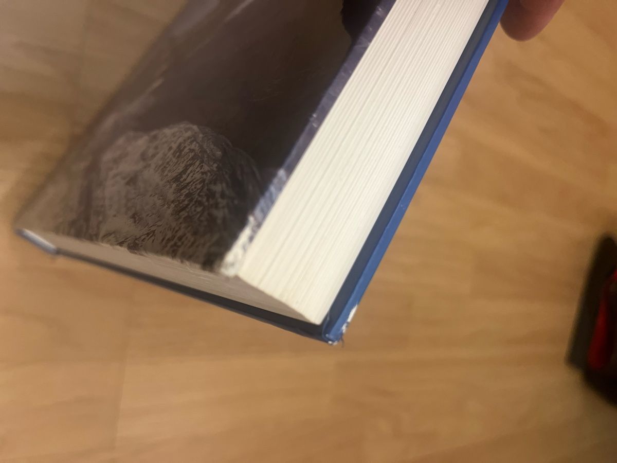 Libri: Hunter Fascination Schweizer Flugwaffe Armee – Usato da Wiesenberg venduto da swissantik 8