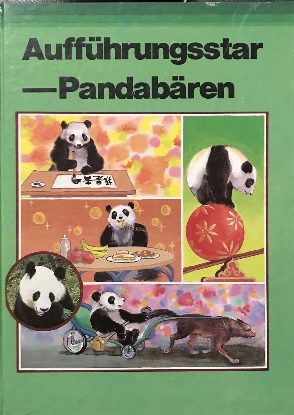 Libri: Aufführungsstar Pandabären – Usato da Sarnen venduto da Livres