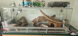 Terrarium
