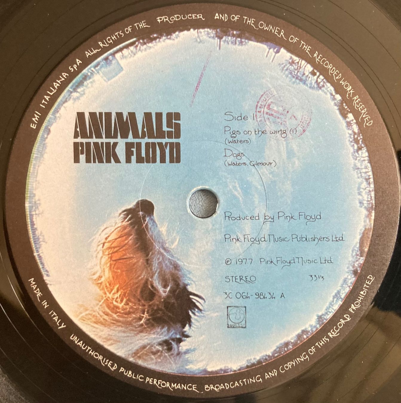 Schallplatten: PINK FLOYD - ANIMALS – Gebraucht aus Poliez-Pittet von Newtown-Records 3