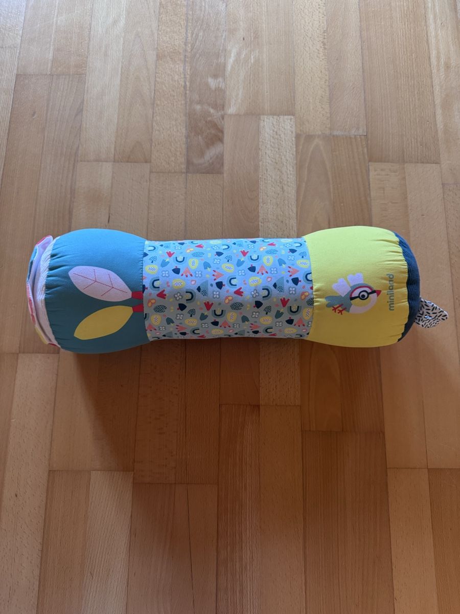 Jouets: Miniland Crawling Roller  – D'occasion à Zuoz par mrtnsp