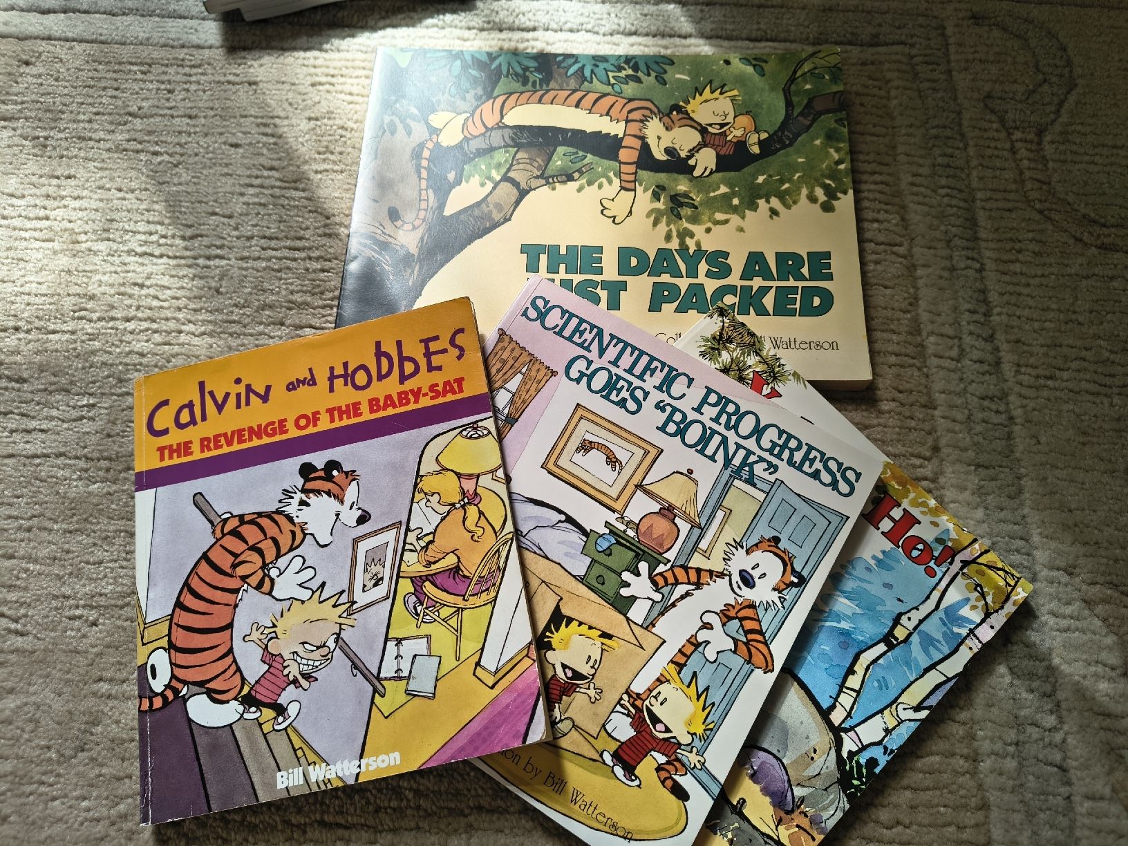 Fumetti: Calvin and Hobbes comics – Usato da Dornach venduto da Fabisee