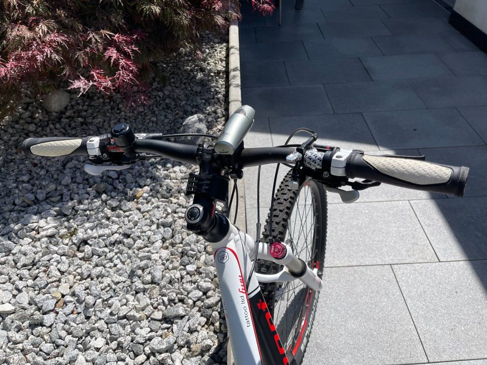 Mountainbike BERGAMONT Tattoo Ltd, Edition 20 | Kaufen auf Ricardo