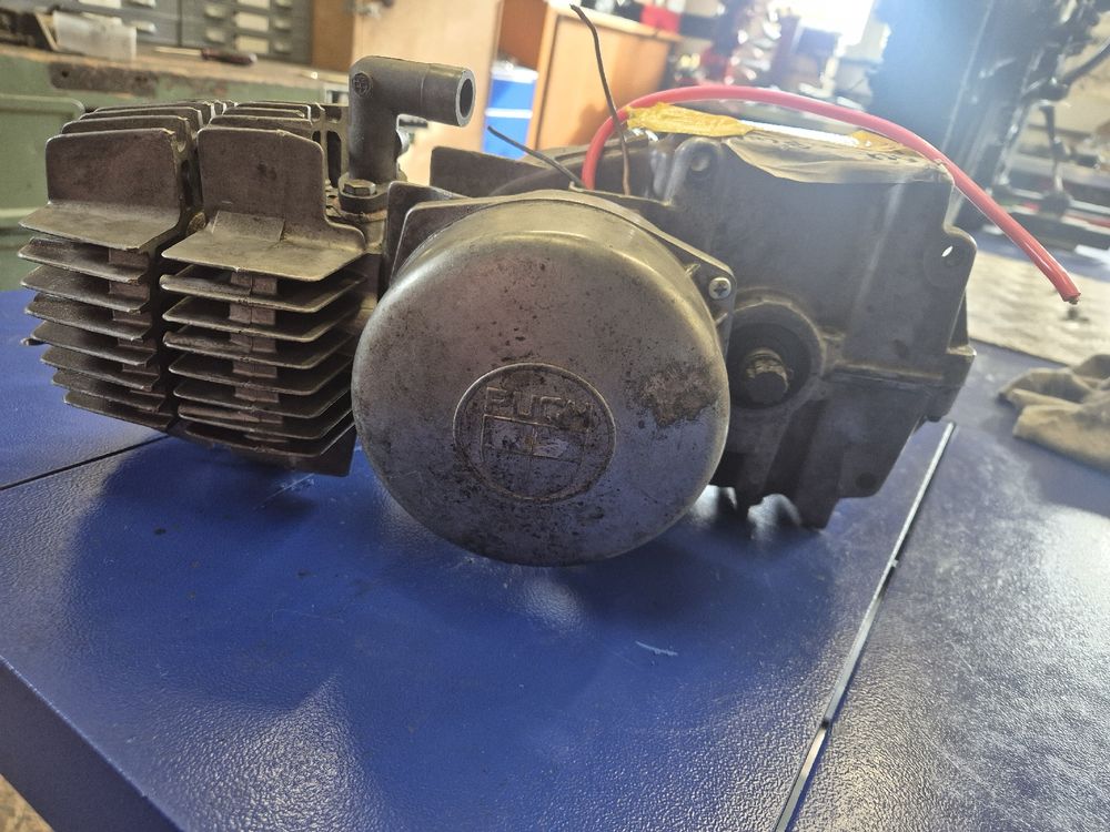 Mofa Puch Maxi Motor (Gebraucht) in Neuenkirch für CHF 280 – nur ...