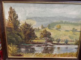Alter ÖL Bild. Siehr schön Natur 38/48 cm